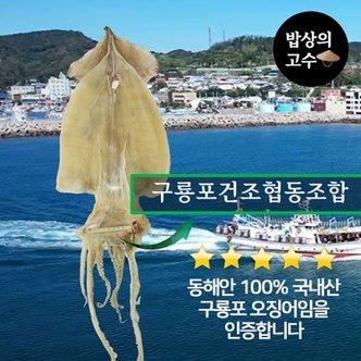  구룡포 마른오징어 동해안 오징어 국내산 울릉도 독도 5마리 500g