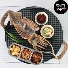 구룡포 마른오징어 동해안 오징어 국내산 울릉도 독도 5마리 500g