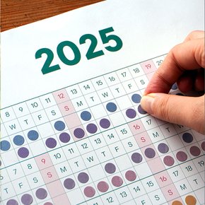 2025년 작심일년 습관 달력 포스터 벽달력