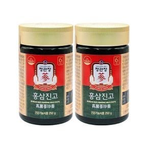 쇼핑백포함 정관장 홍삼진고 250g 2개 / WJ 유통기한 27년 12월