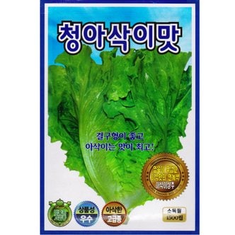 영농사 청아삭이맛 아삭이 상추씨앗 1500립