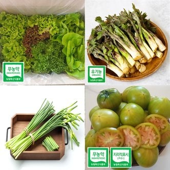  [제철과일채소] 친환경 유기농 샐러드 두릅 짭짤이 토마토 방울토마토 새싹삼
