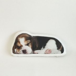 sleepy beagle