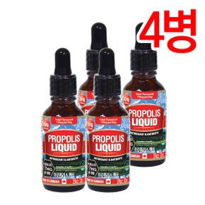 캐나다 프로폴리스 액상 플라보노이드 30ml 4병