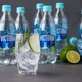 빅토리아 라임 500ml *20입