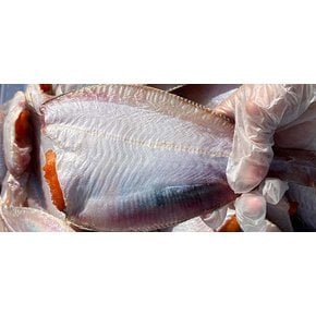 [자연맛남] 영덕 손질 반건조 참가자미 중 4마리(마리당105-130g/2미씩포장)