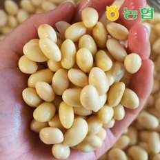 [매주 월/목 순차출고] 농협 국산콩 진한 콩국물 콩물 두유 20팩×400g