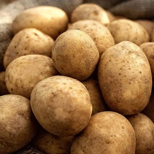 [자연속애] 포슬포슬 충청도 감자 5kg(특110-180g내외)