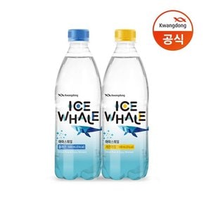 아이스웨일 플레인 탄산수 500ml 20p+레몬라임 20p