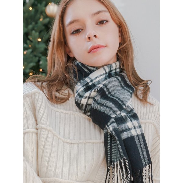확대된 대표 Main Image