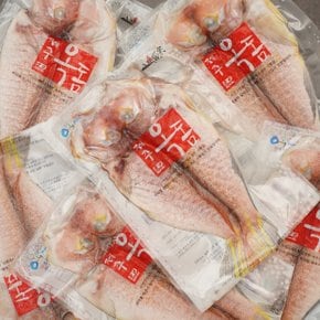 [9월21일 오전7시까지 주문시 명절전배송][냉동]제주어가 명품 왕 옥돔 5마리