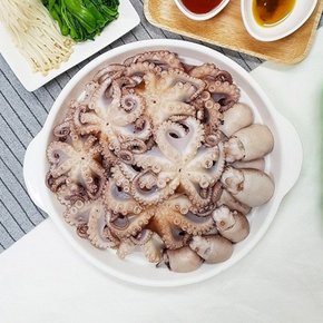 초싱싱 급냉 활주꾸미 1kg 대용량 가성비갑