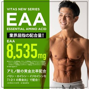 VITAS(바이타스)EAA 분말 키위 맛 520g 필수 아미노산 9종류 배합