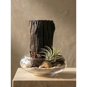 차콜 플래닛 에어 오브제(Charcoal Planet Air Objet)