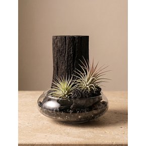 차콜 플래닛 에어 오브제(Charcoal Planet Air Objet)