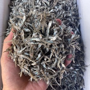 바다어보 국산 가이리멸치 1.5kg 실속 볶음멸치 조림멸치 멸치