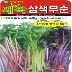 일주일이면 수확이 가능한 웰빙채소 새싹 삼색무순 씨앗 대포장 300g