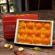 제주푸드마씸 현가원 서귀포 천혜향 3kg (7-10과, 실중량)