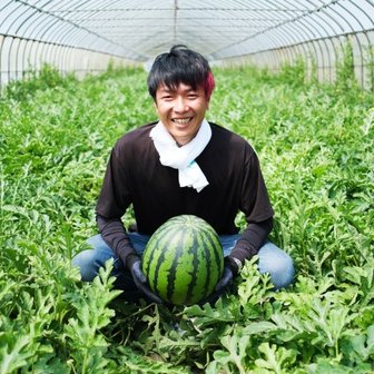  고당도보장 자연에서바로 국내산 하우스수박 프리미엄 우곡수박 6kg이상