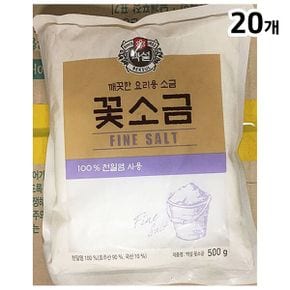 꽃소금(백설 500g)X20 가는소금