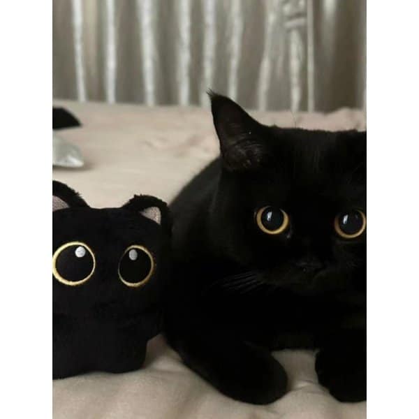 왕눈 깜냥이 키링