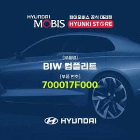 BIW 컴플리트 (700017F000)