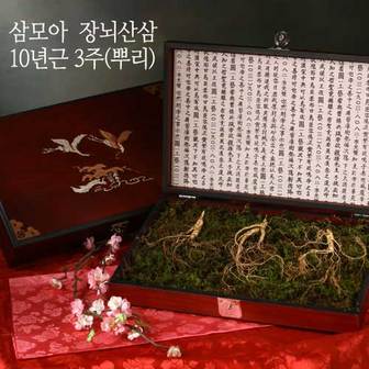 삼모아농장 삼모아 장뇌산삼(산양산삼) 10년근 3뿌리(만수무강세트)/고가구케이스+실크보자기포장