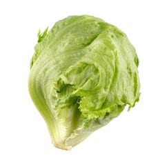프레베 양상추 1통