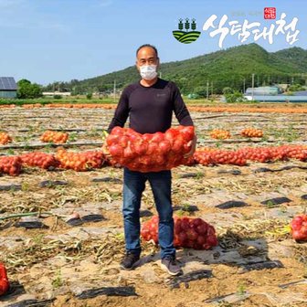 식탐대첩 국내산 햇 흰양파 5kg 개당 100g 이상