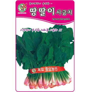 영농사 땅딸이 월동 시금치씨앗 35g