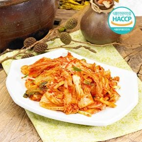 당일제조 100% 국산 전라도 겉절이1kg HACCP[34809278]