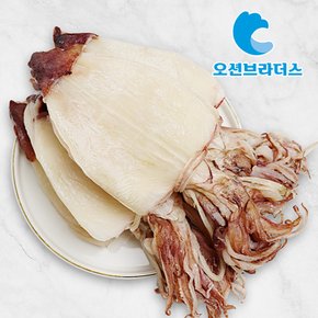 뽀얀 베트남 건한치 350g / 10마리