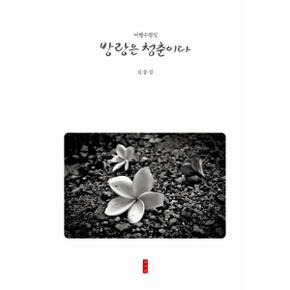 방랑은 청춘이다(여행 수필집)