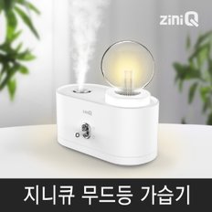 ZQ-HM600L LED 무드등가습기 무선가습기 2단계 가습량 무드등조절 C타입전원