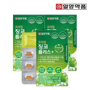 프라임 징코 플러스 500mg x 30정 3박스 (총 3개월분)..[28043528]