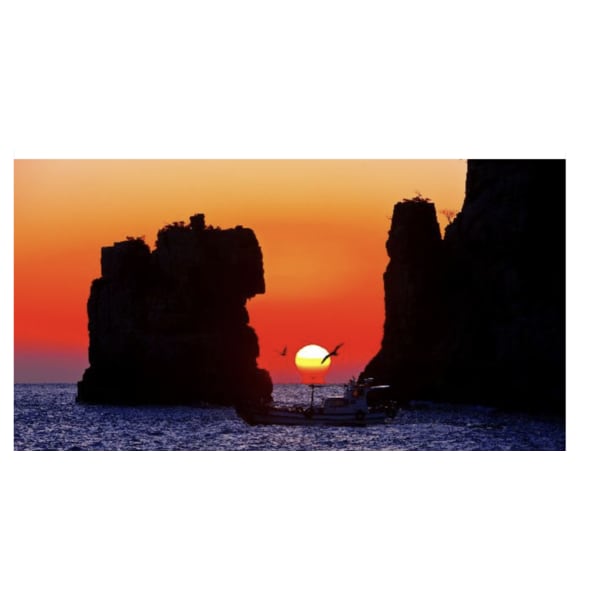 (사용불가) 제휴 10자리 상품 테스트