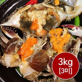 연평도 알배기 간장게장 암꽃게장 3kg(3미)