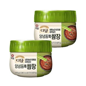 CJ 다담 양념듬뿍쌈장570g X 2개