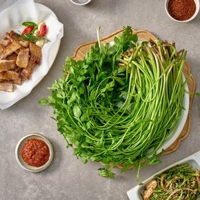 제철 국내산 노안 미나리 500g