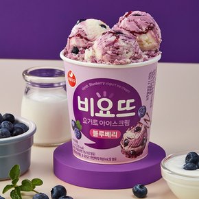 요거트 아이스크림 대용량 3가지맛 세트(초코볼+블루베리맛+딸기맛)