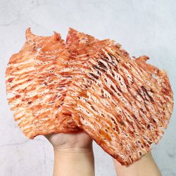 몸통 맥반석 오징어 구이 250g + 팝꽃