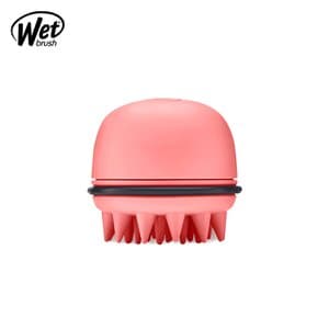 웻브러쉬 wet brush 스칼프 샴푸브러쉬 코랄 헤어브러쉬 드라이 빗 극손상모 헤어 스케일링 두피 마사지