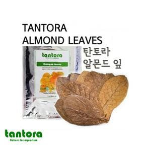 탄토라 알몬드잎 베타 새우 CRS M 10장 X ( 2매입 )