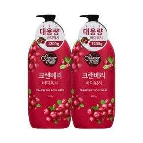 애경 바디워시 내추럴1.2kg x2개 크렌베리