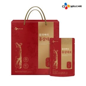 [CJ공식] 한뿌리 홍삼대보(40ml*24포) 1박스