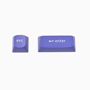 OSA 더블샷 PBT 키보드 교체용 커스텀 포인트 키캡 2pcs Purple 퍼플 컬러 / ESC ENTER