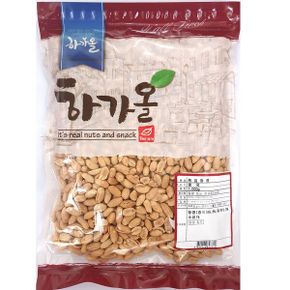 튀김 땅콩 1kg 호프 메뉴 식당 마른 안주 업소용 땅콩 튀김땅콩 과자 안주