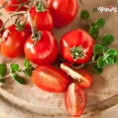 식탐대첩 국내산 대추방울토마토 특/상품 1kg
