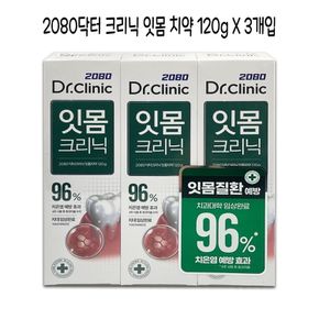 2080 닥터 크리닉 잇몸치약 120g 3개입 - O