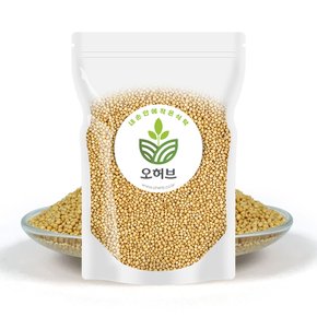 겨자씨 백개자 백계자 250g